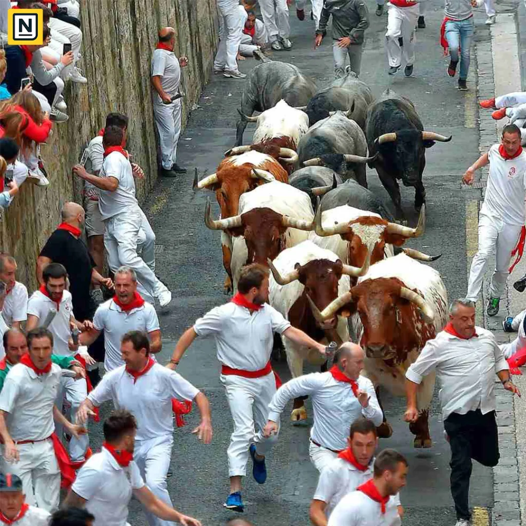 bull run
